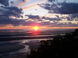 Cape Cod Sunset