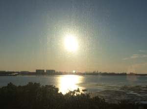 Tampa Sunrise
