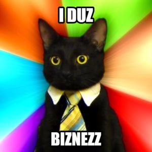 How to Adopt a Kitten