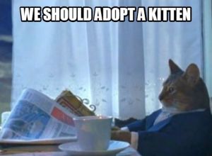 We Should Adopt a Kitten