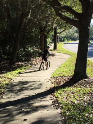 Free Range Parenting