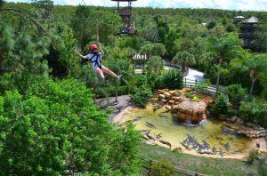 Experience Kissimmee
