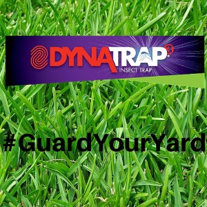 #GuardYourYard